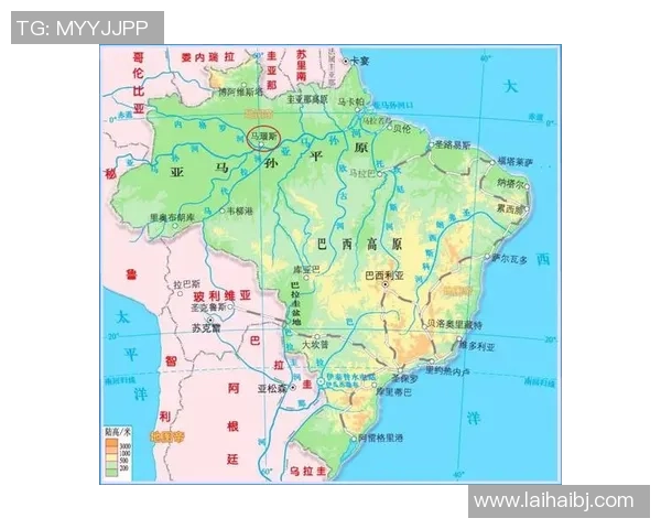 巴西在南美洲的控制位置:数据说话